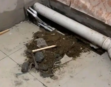 舟山市卫生间漏水检测哪家好